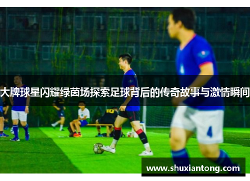大牌球星闪耀绿茵场探索足球背后的传奇故事与激情瞬间